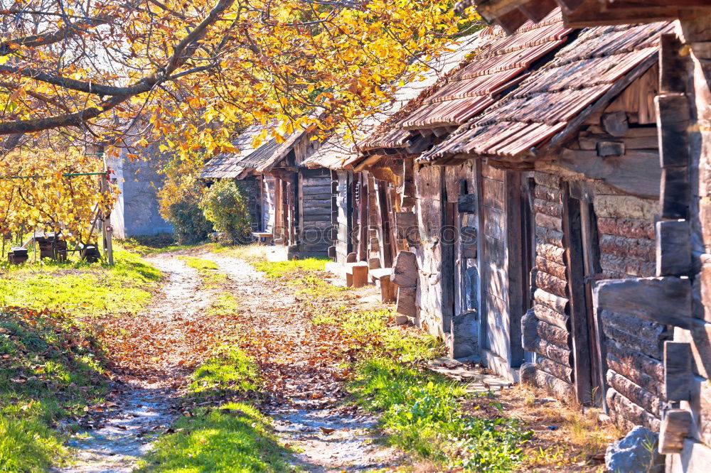 Similar – Image, Stock Photo Autumnal decay Hut