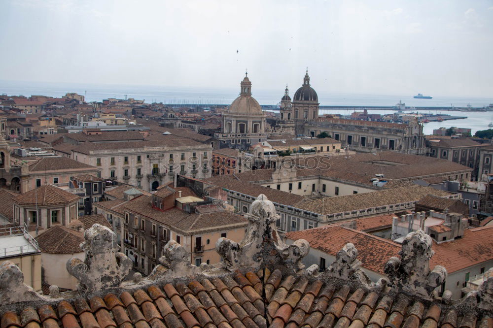 Similar – Image, Stock Photo lagoon metropolis view