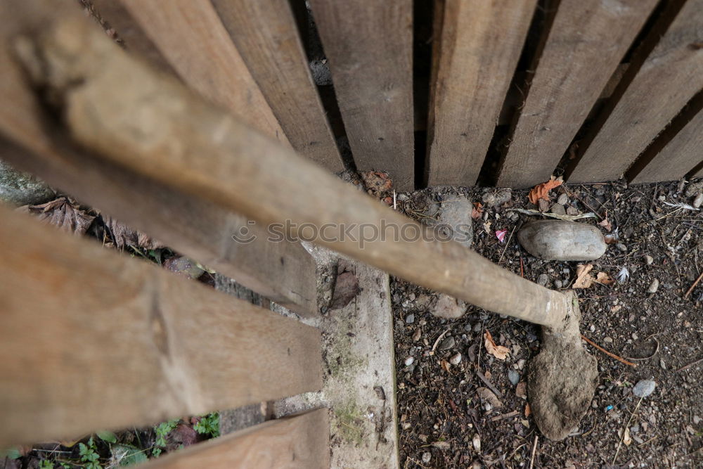 Similar – Image, Stock Photo Circular saw cat sleeps