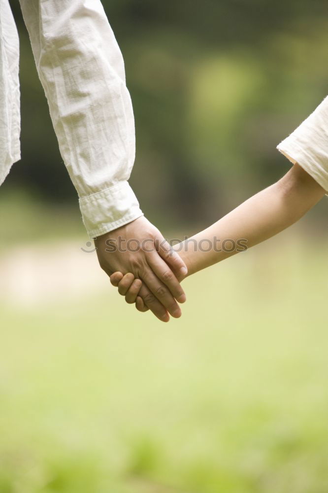 Image, Stock Photo Back view of child and senior man holding hand