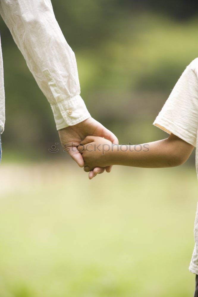 Similar – Image, Stock Photo Back view of child and senior man holding hand