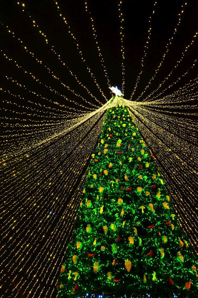 Similar – Image, Stock Photo Ulm Christmas Market