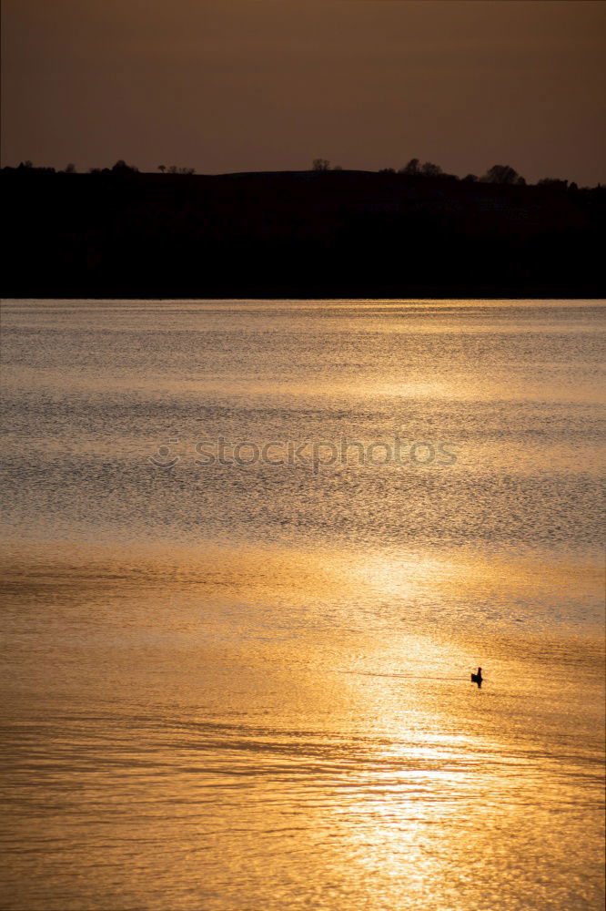 Similar – A bath in the sunset