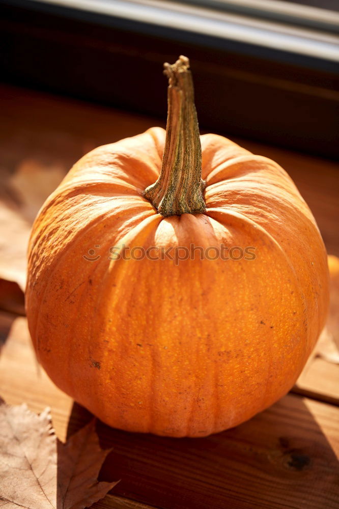 Similar – Image, Stock Photo KÜR IV Food Vegetable Soup