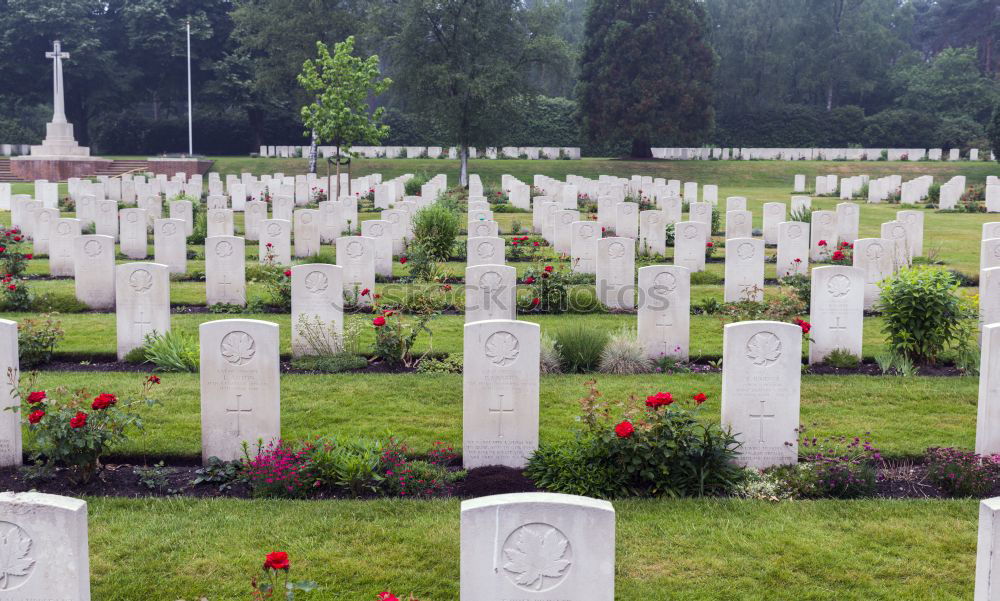 Similar – Image, Stock Photo 60 years later Cemetery