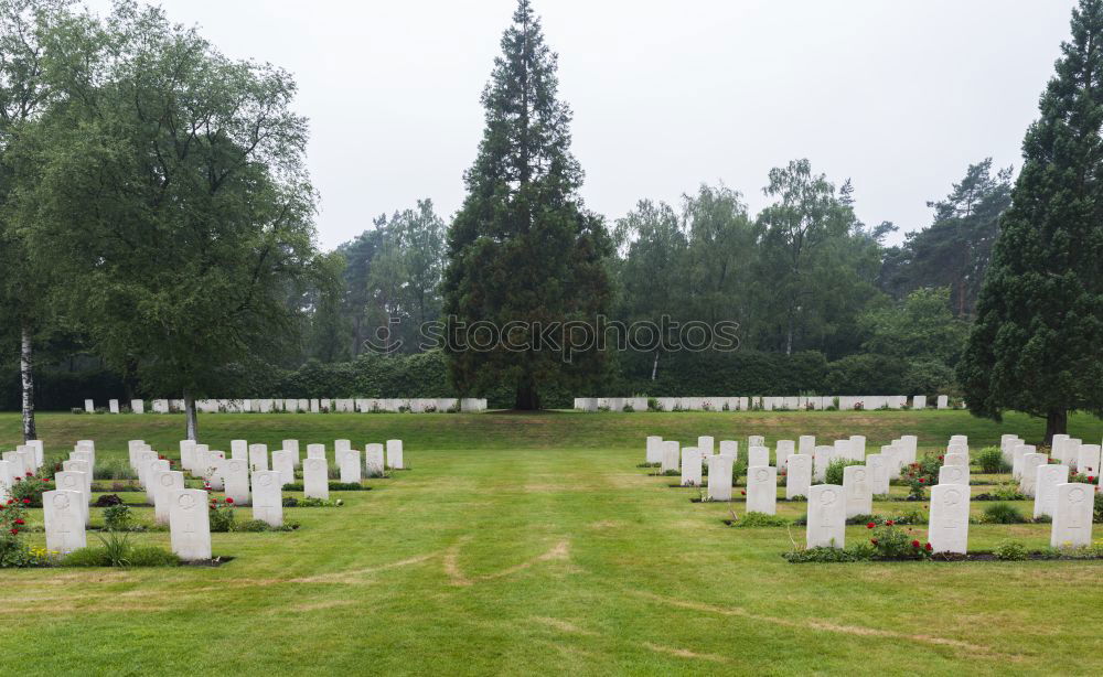 Similar – Image, Stock Photo 60 years later Cemetery