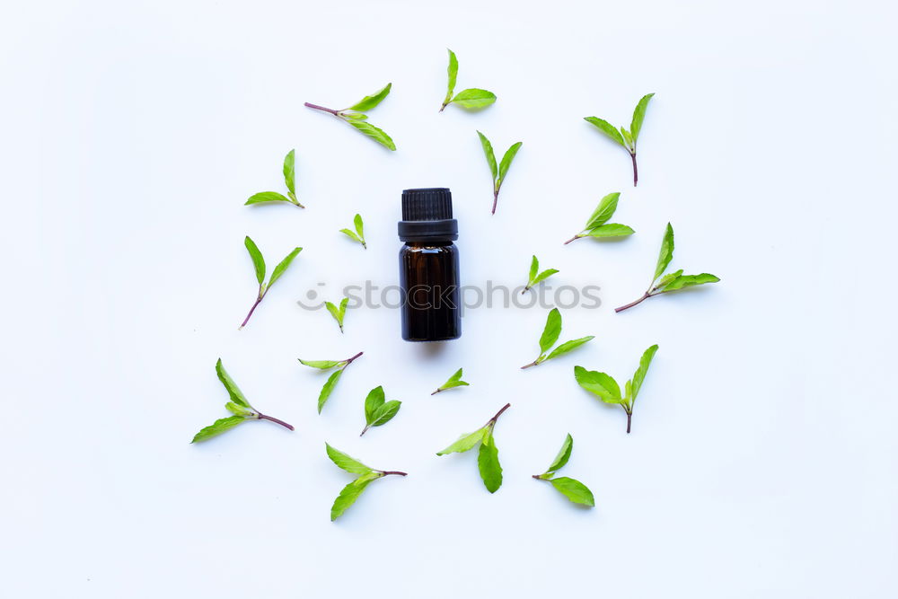 Similar – Image, Stock Photo Natural cosmetics. Serum and face oil bottles with plants