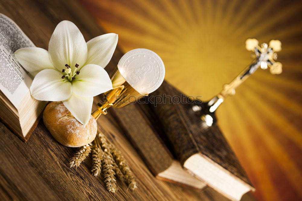 Similar – Image, Stock Photo Honey spoon on honeycomb with fresh flowers