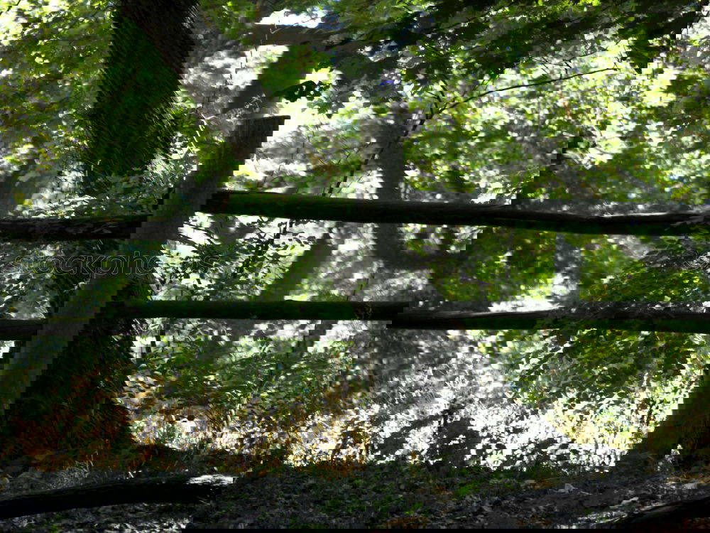 Similar – Foto Bild Fahrrad zugewachsen