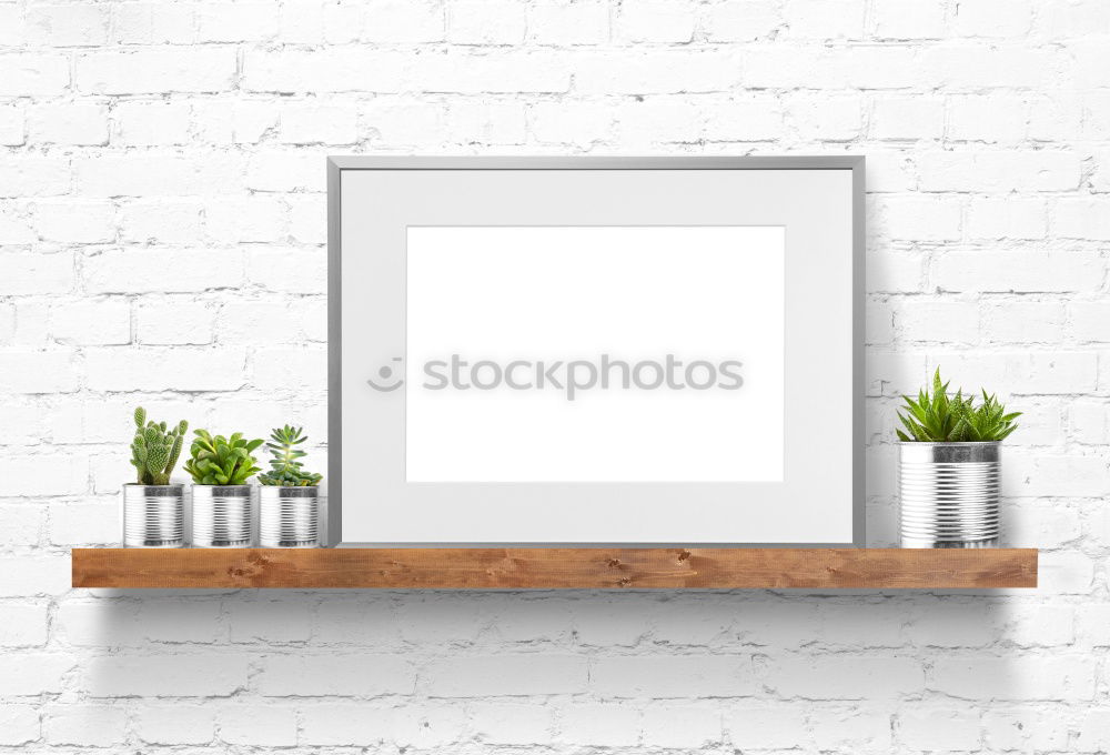 Similar – Image, Stock Photo cacti Cactus Plant Oxygen