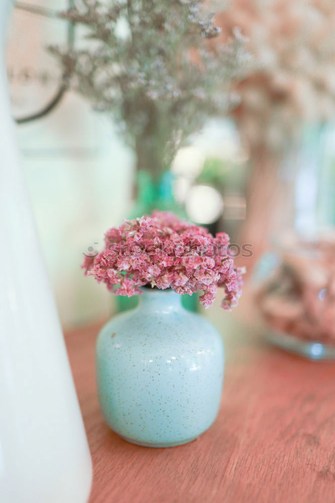 Similar – Foto Bild helle Hortensie in Vase mit Wasser auf blauer Tischdecke