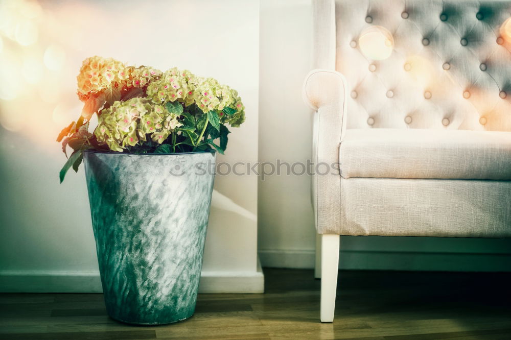 Similar – Blumen im Topf auf dem Tisch im Wohnzimmer