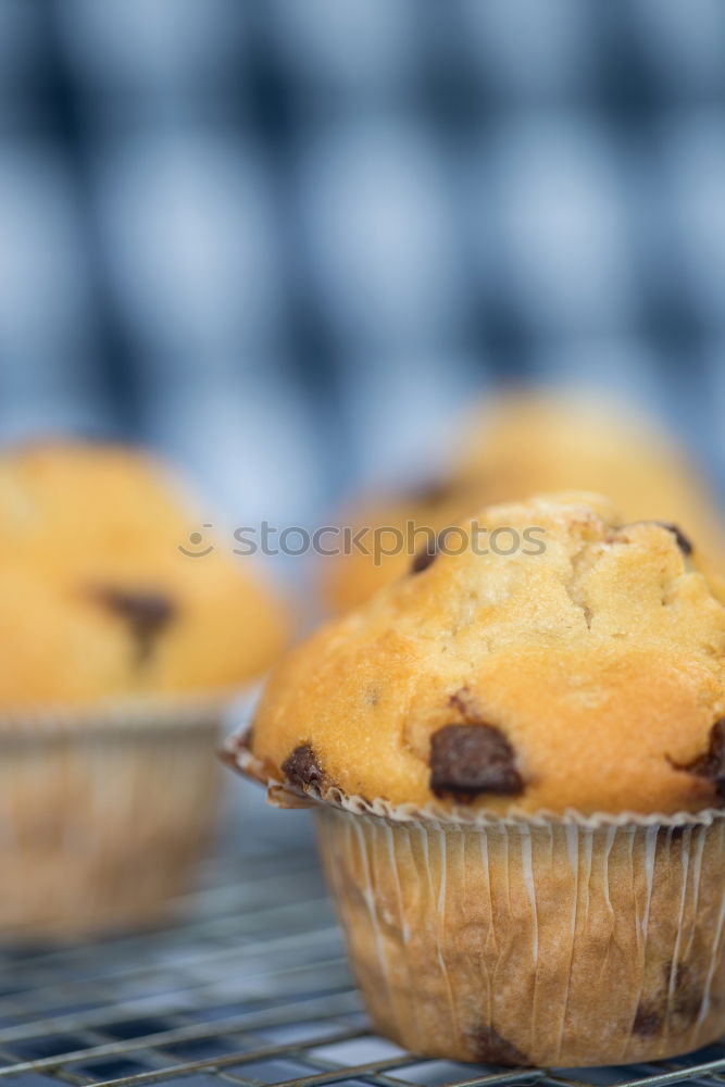 Similar – Image, Stock Photo homemade muffins walnut & chocolate