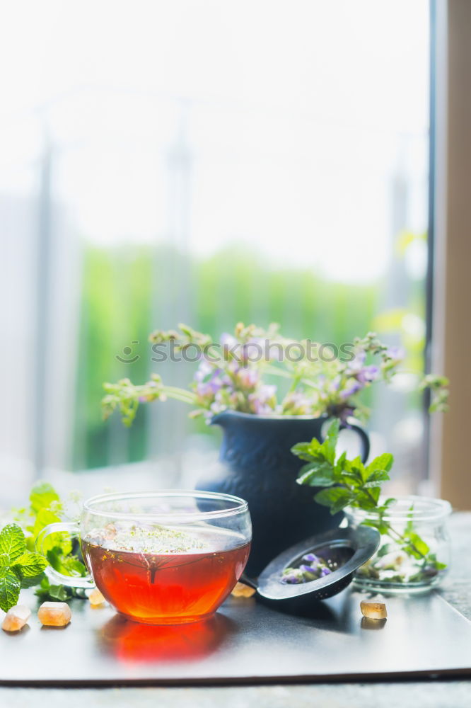 Image, Stock Photo Cup with hot herbal tea at window