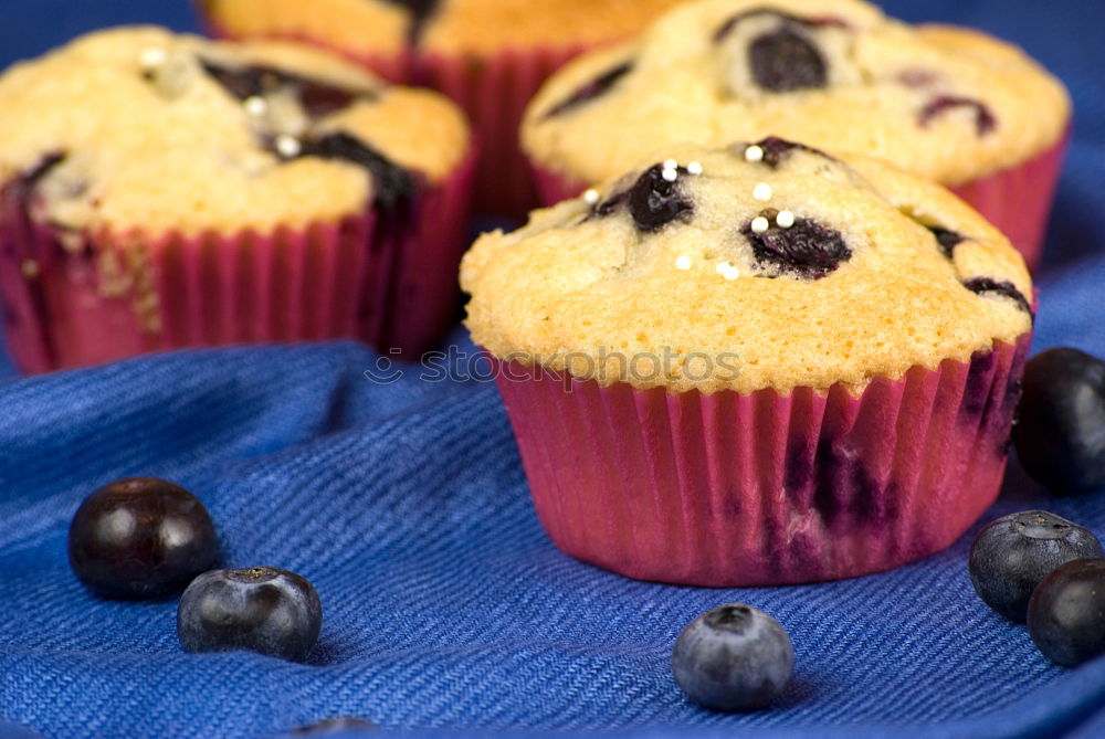 Similar – blueberry muffin Food