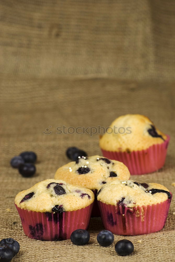 Similar – blueberry muffin Food