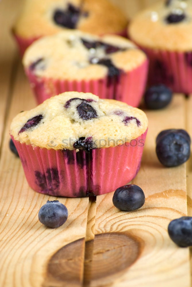 Similar – blueberry muffin Food