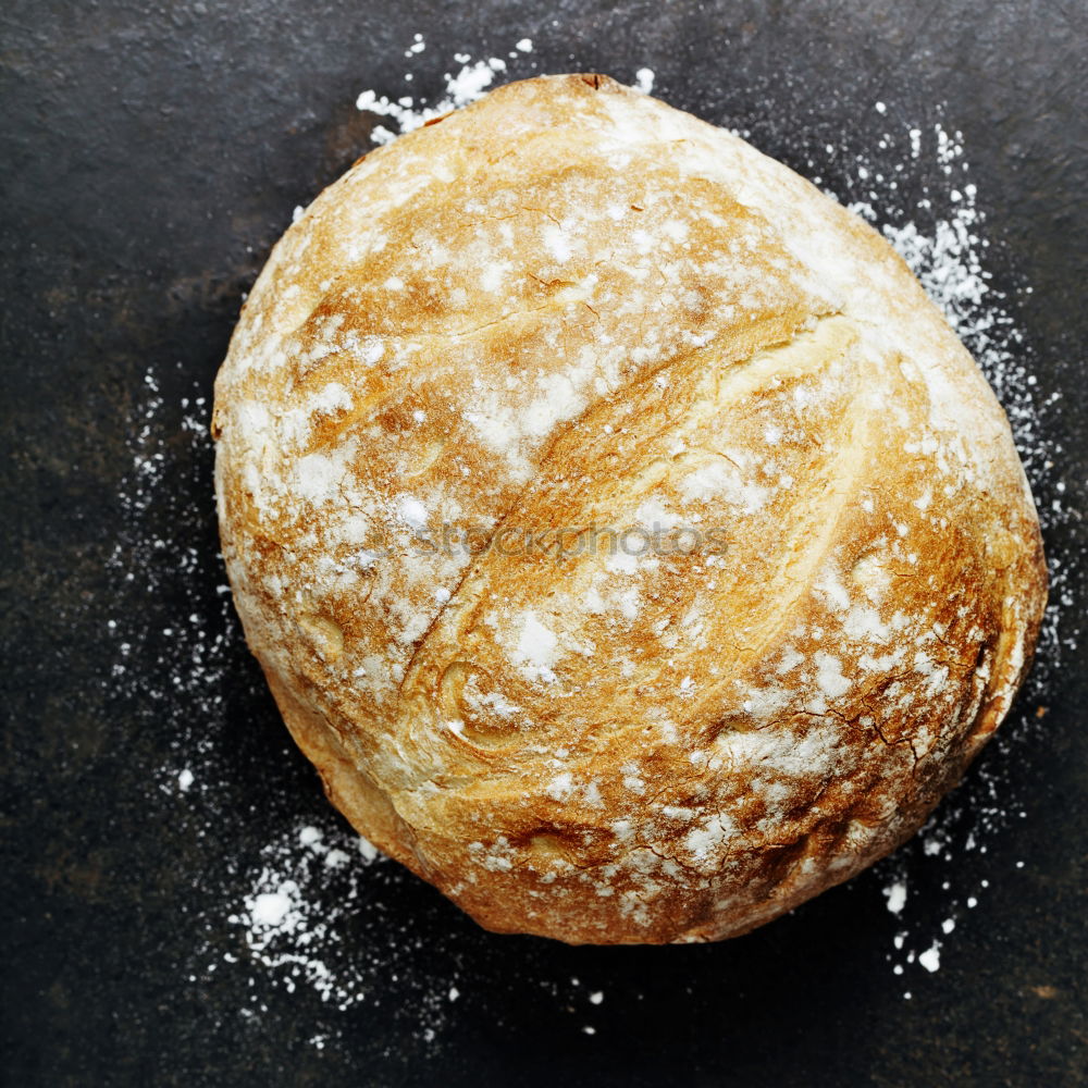 Similar – Image, Stock Photo baked round white wheat bread