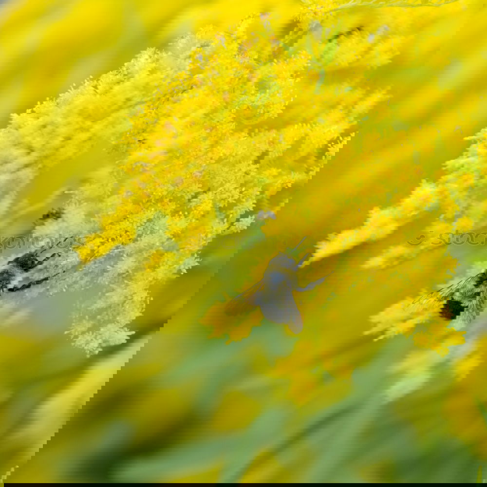 Similar – Image, Stock Photo Lateral Trip Environment