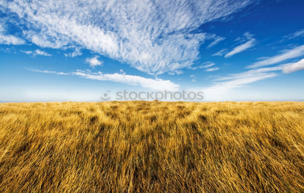 Similar – corntwister Tornado Field