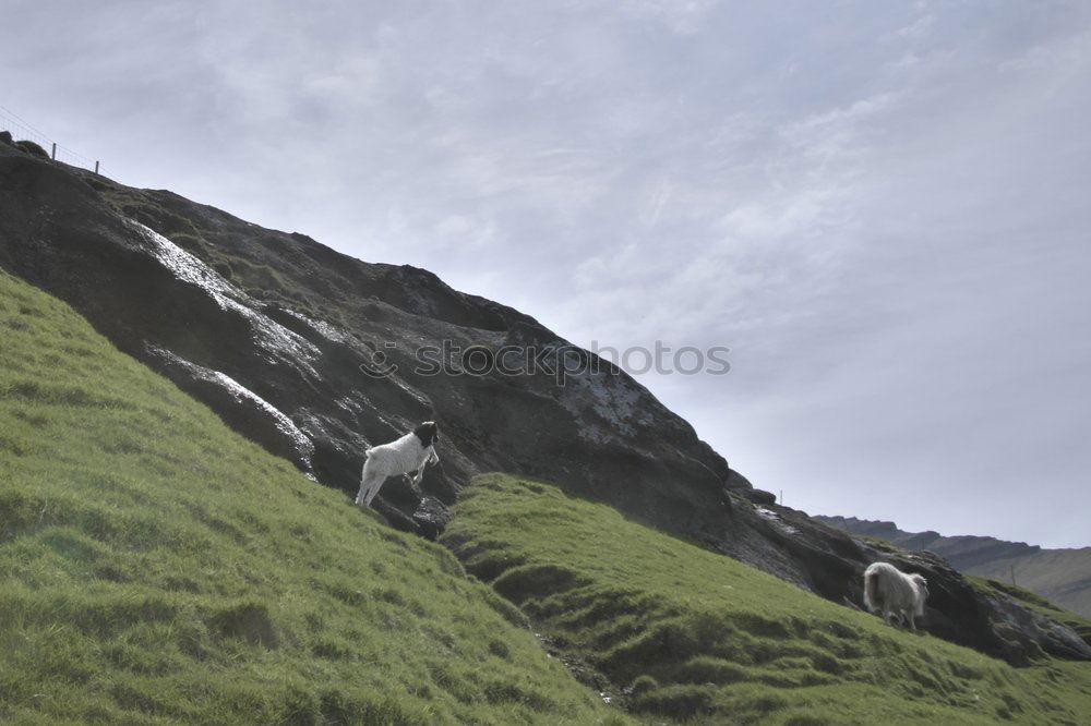 Similar – Image, Stock Photo End time mood in the Dolomites