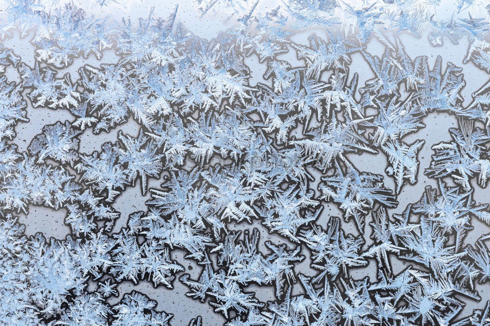 Similar – Image, Stock Photo Ice flowers of snow on a blue icy background