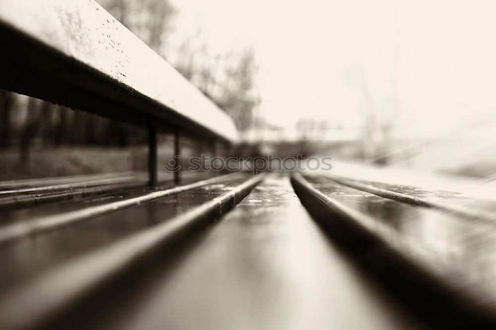 Similar – Image, Stock Photo stair floret Environment