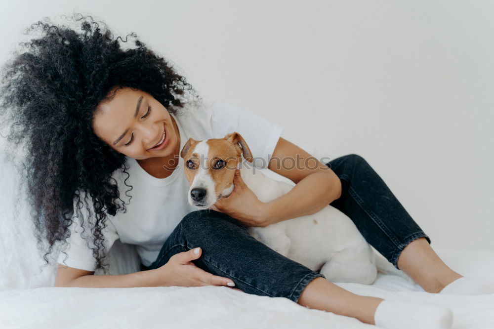 Similar – cute brown toy poodle at home with his owner