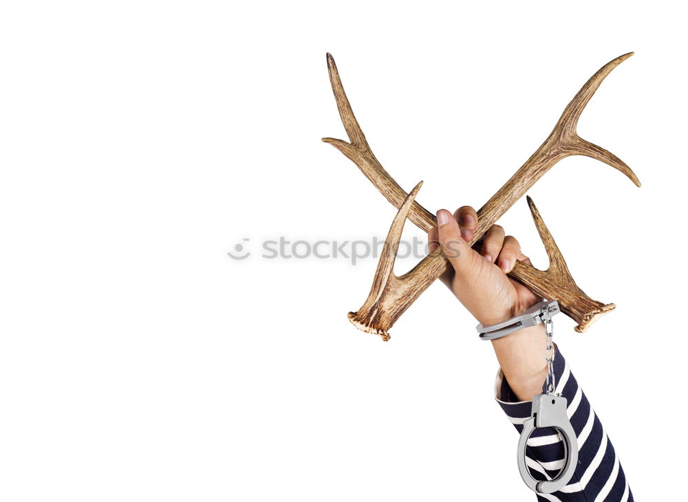 Similar – Statue of white deer on finger.