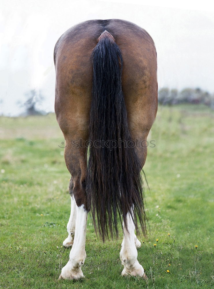 Similar – Image, Stock Photo “Sit down!”