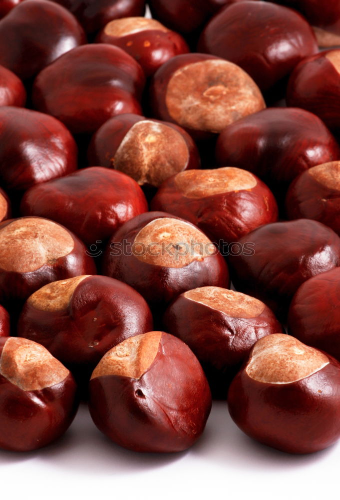 Similar – Image, Stock Photo chestnuts Chestnut tree