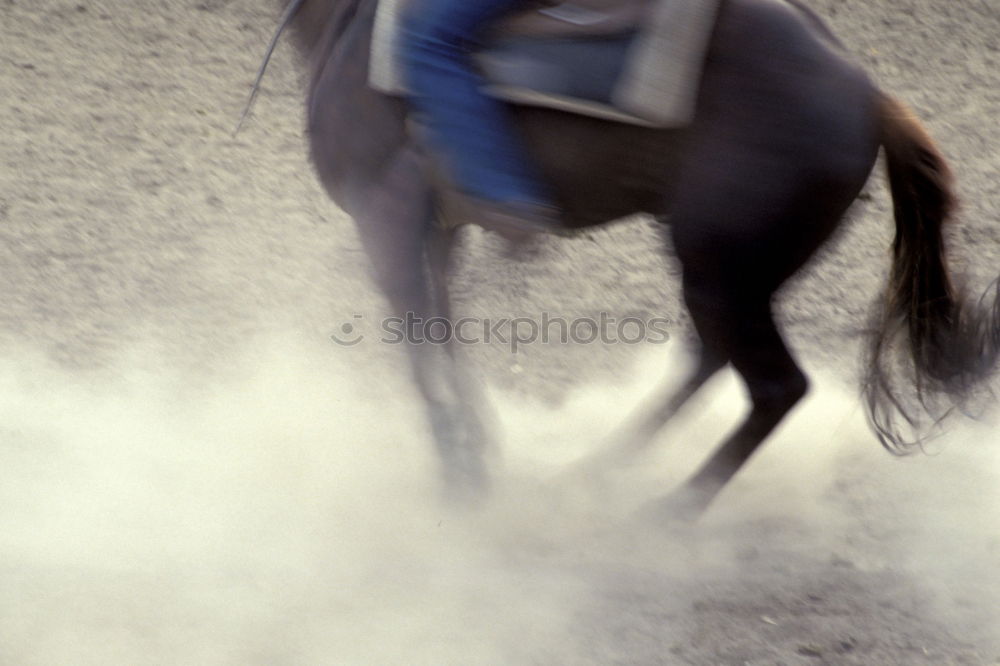 Similar – Image, Stock Photo tripod Ride Animal