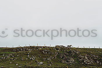 Similar – Rush hour in Schottland