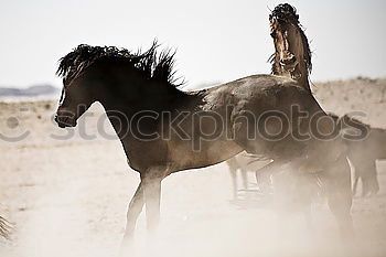 Similar – Image, Stock Photo “Sit down!”