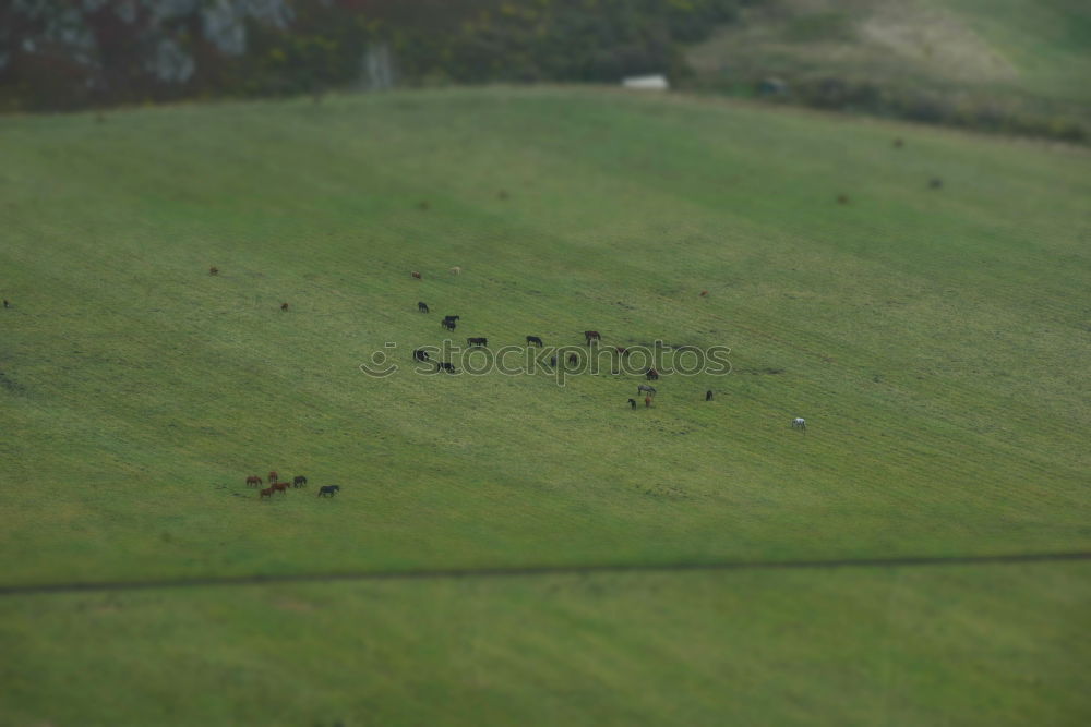 Similar – Image, Stock Photo pickaxe[2] Mole Hill