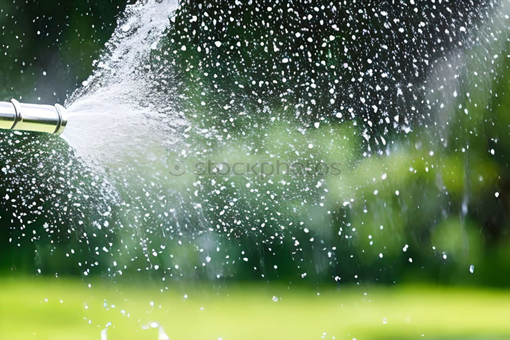 Similar – Image, Stock Photo The garden season has begun