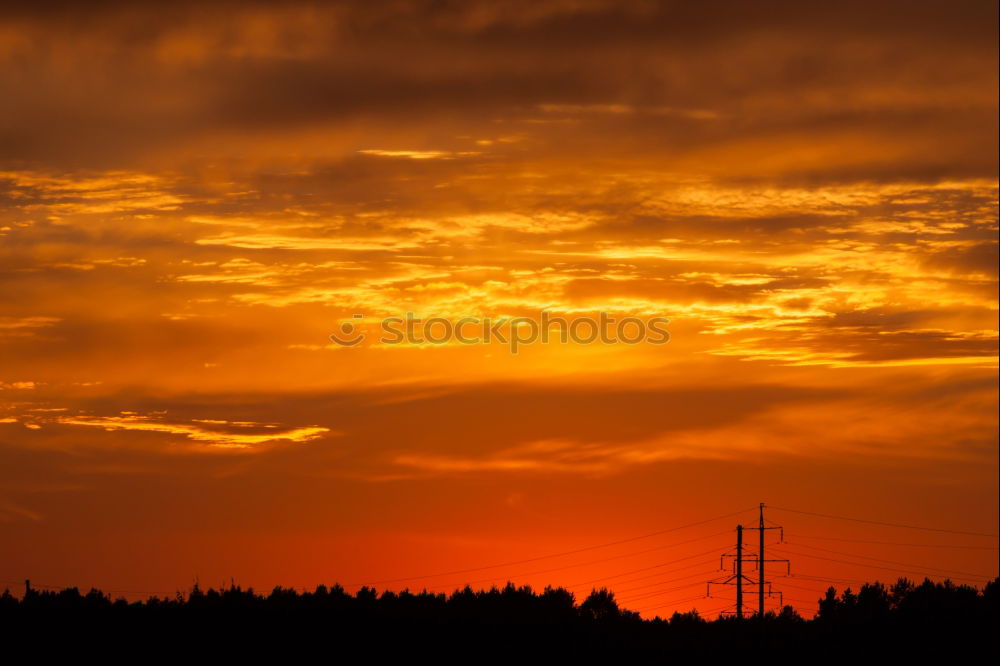 Similar – Image, Stock Photo Sunset over forest