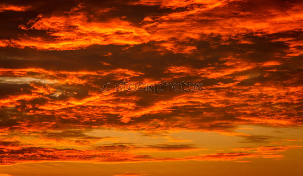 Similar – Foto Bild Sonnenuntergang mit schwarzen Bäumen