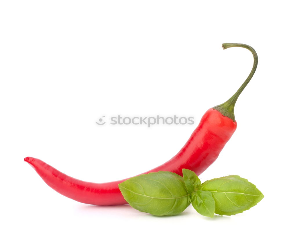 Similar – chilli Food Vegetable