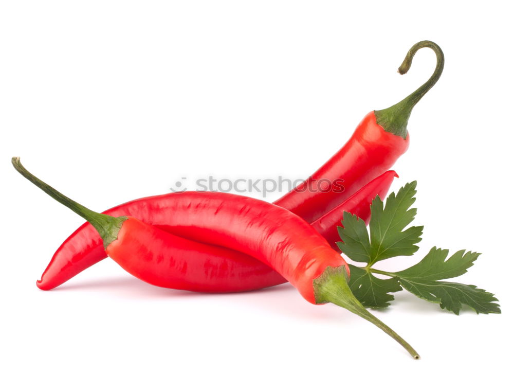 Similar – Image, Stock Photo chili Chili habanero