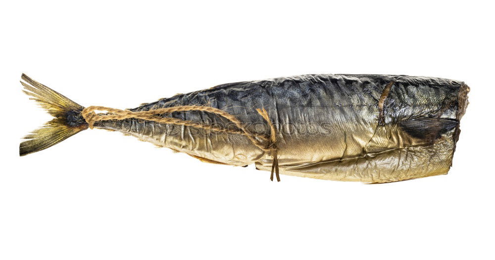 Similar – Image, Stock Photo mackerel Food Fish Seafood