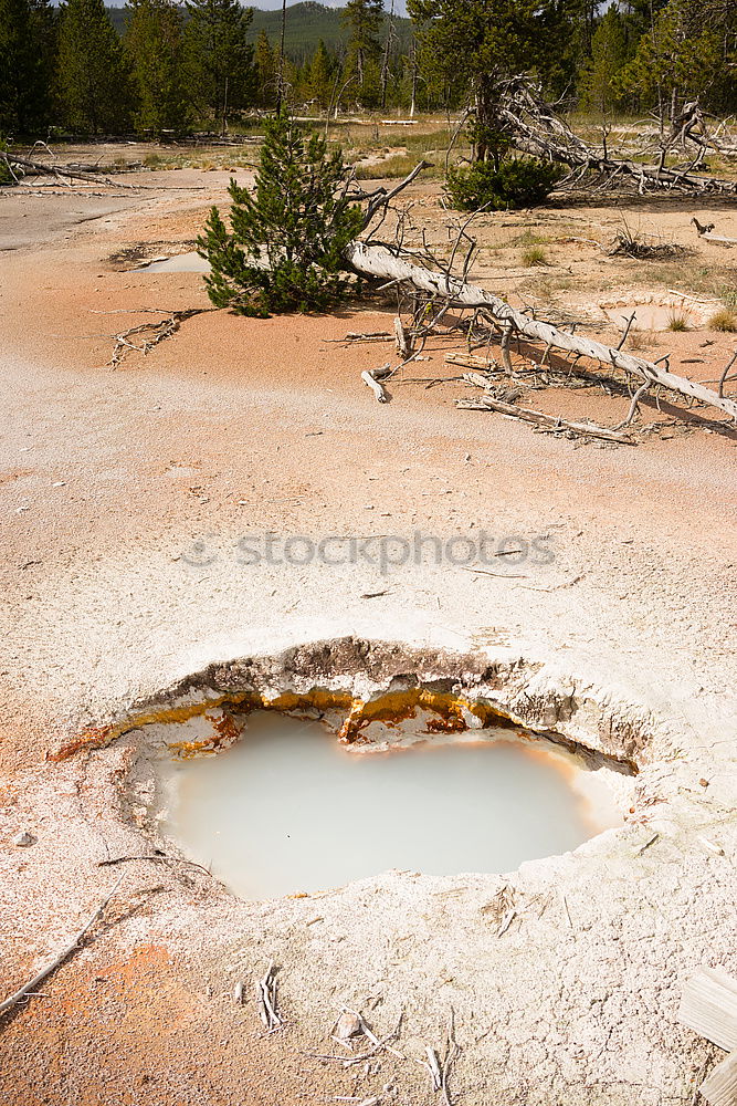 Image, Stock Photo survival artist