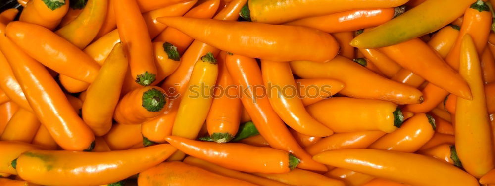 Similar – Image, Stock Photo chillies Red Tangy Things