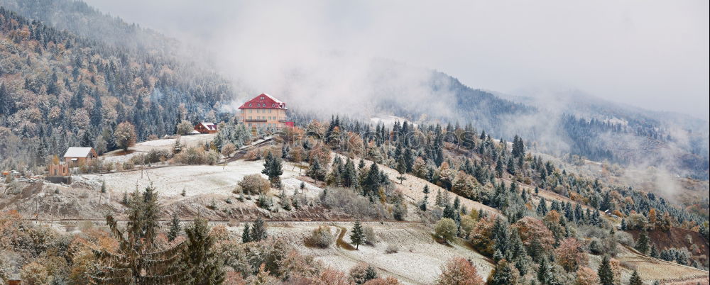 Similar – Image, Stock Photo First snow in autumn. Snowfall in mountains. Snow and fog