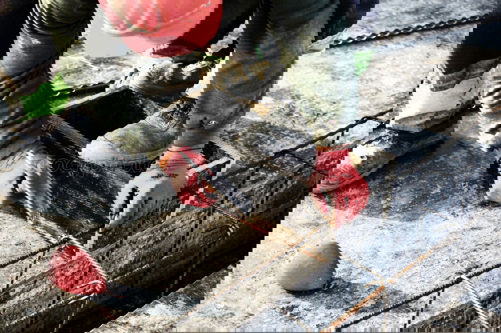 Similar – Image, Stock Photo Last corrections