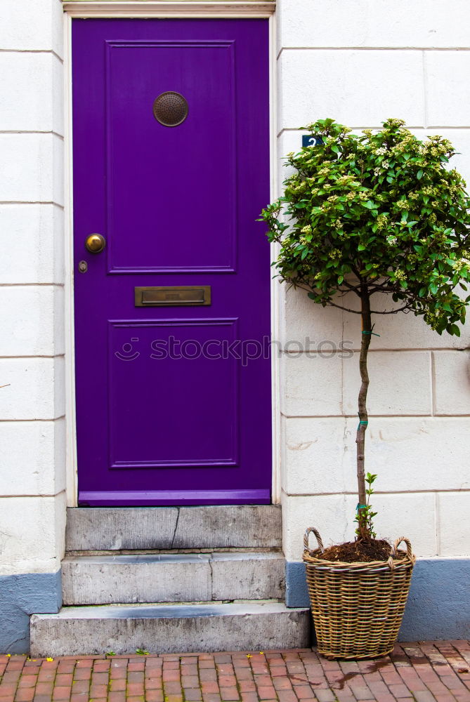 Image, Stock Photo Bright vintage doors.