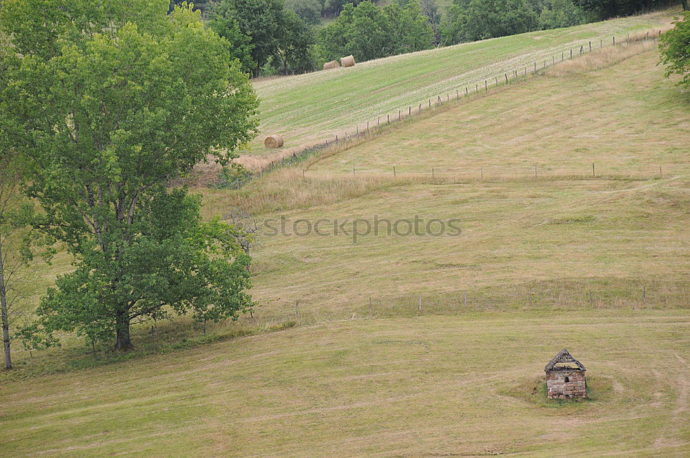 Similar – Foto Bild rasendes herz original mit pfeil