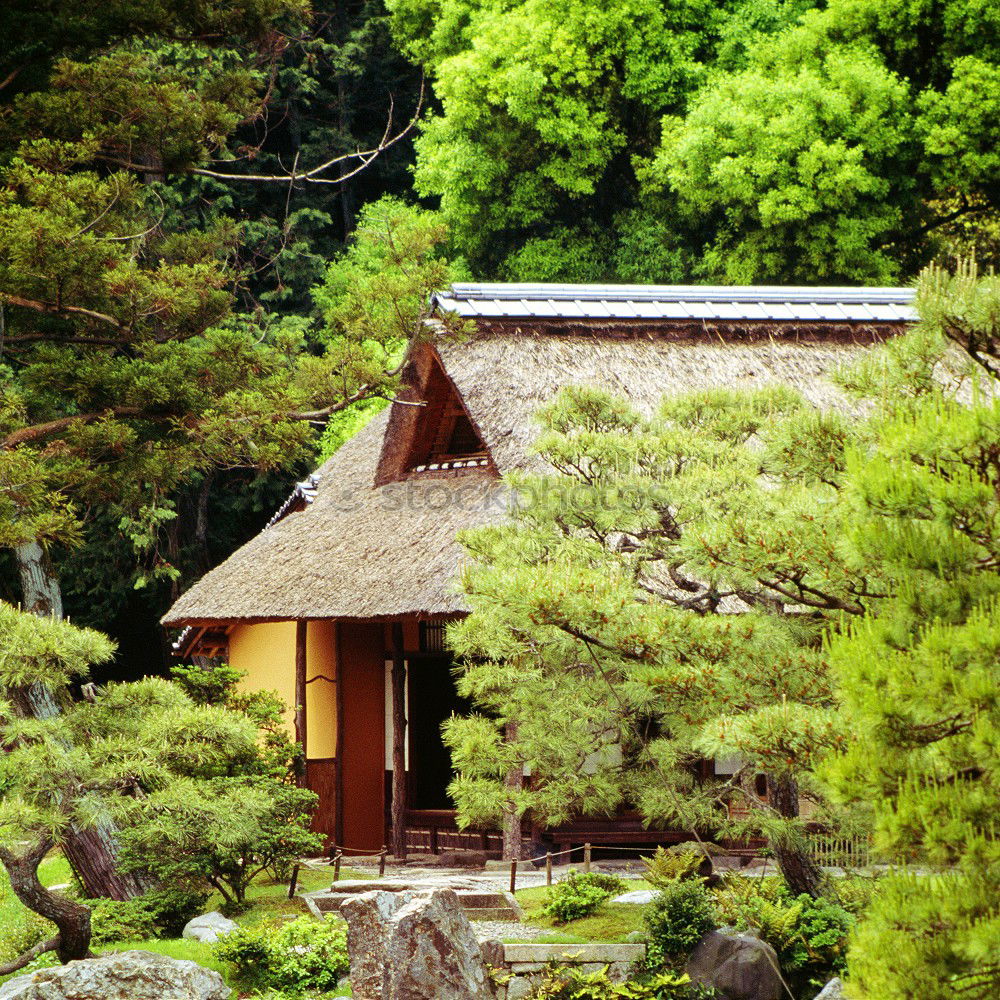 Similar – in front of pagoda 1/5