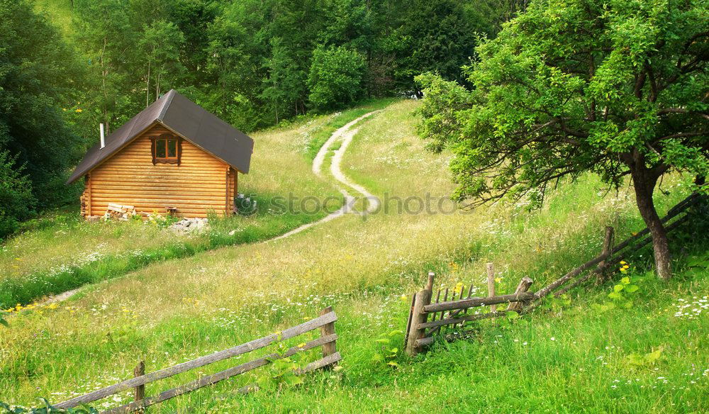 Similar – happy lovers on Holiday in the alps mountains