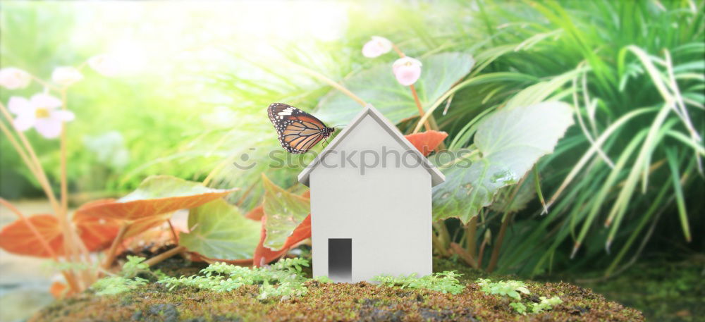 Similar – Image, Stock Photo Small wooden house in garden